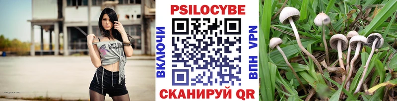 Псилоцибиновые грибы Magic Shrooms  Кондопога 